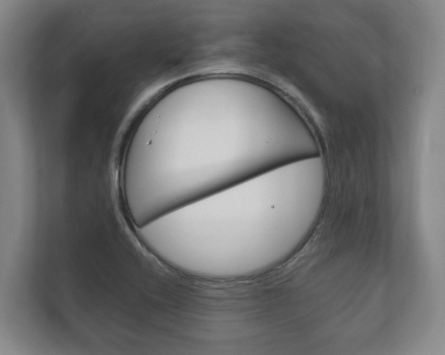 X0000111801416200907230946