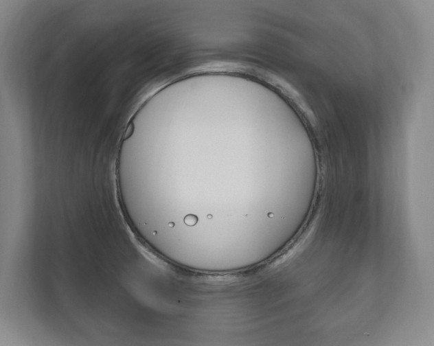 X0000111801425200907230946