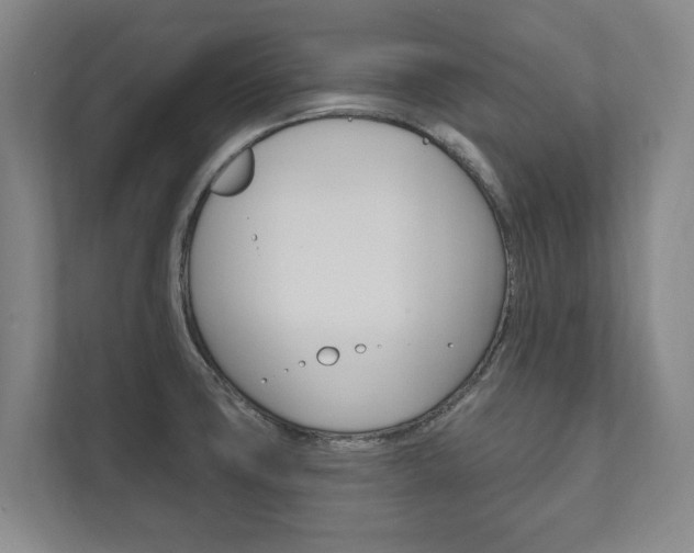 X0000111801427200907230946