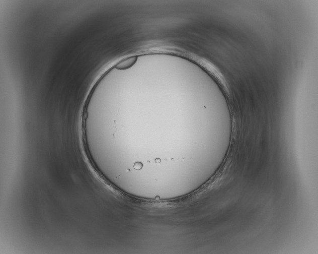X0000111801431200907230946