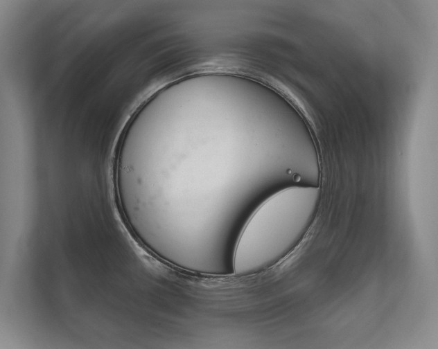 X0000111801434200907230946