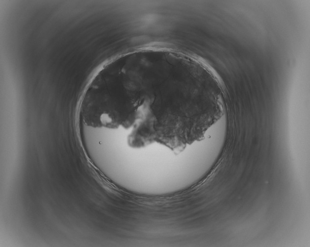 X0000111801435200907230946