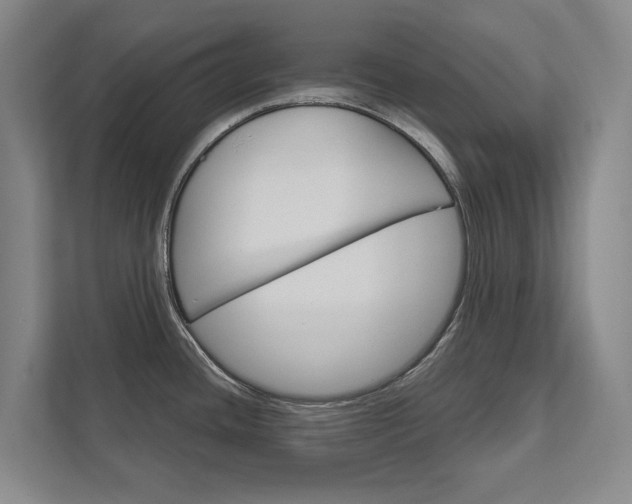 X0000111801436200907230946