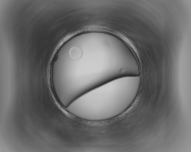 X0000111801437200907230946