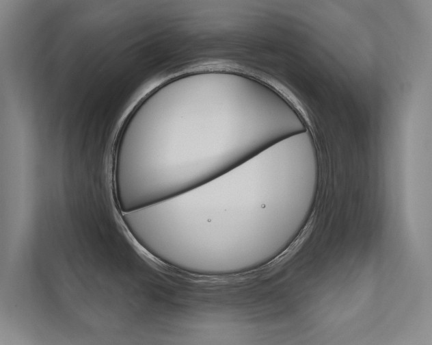 X0000111801438200907230946