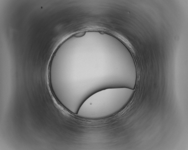 X0000111801439200907230946