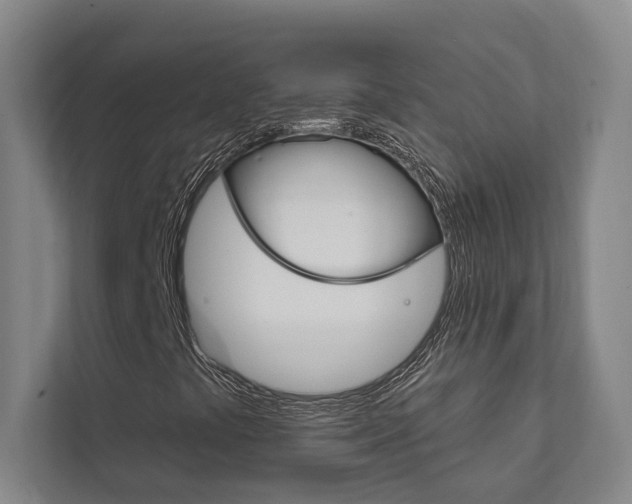 X0000111801441200907230945