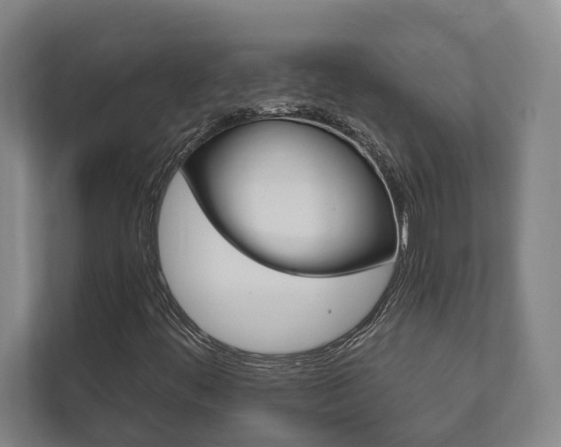 X0000111801444200907230945