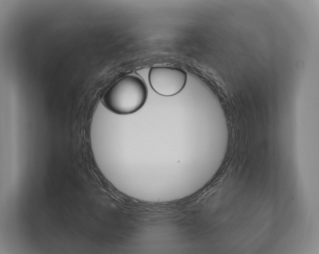 X0000111801445200907230945