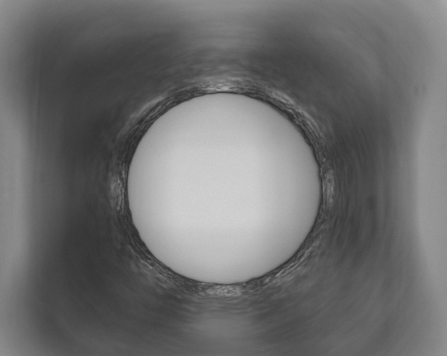 X0000111801446200907230945
