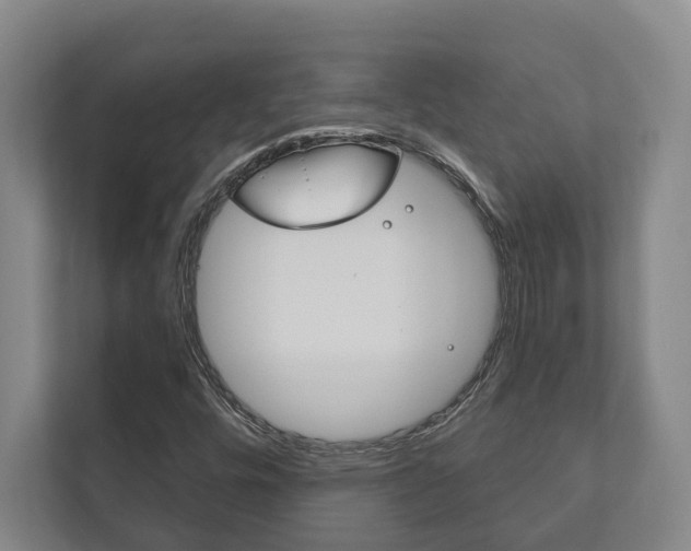 X0000111801448200907230945