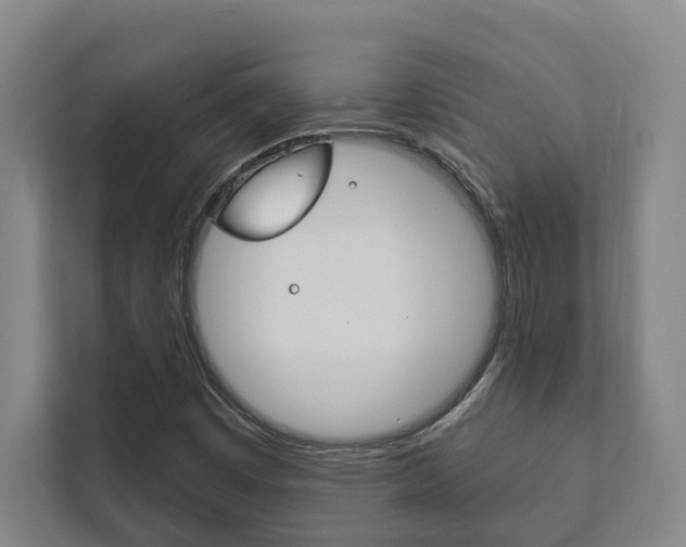 X0000111801449200907230945