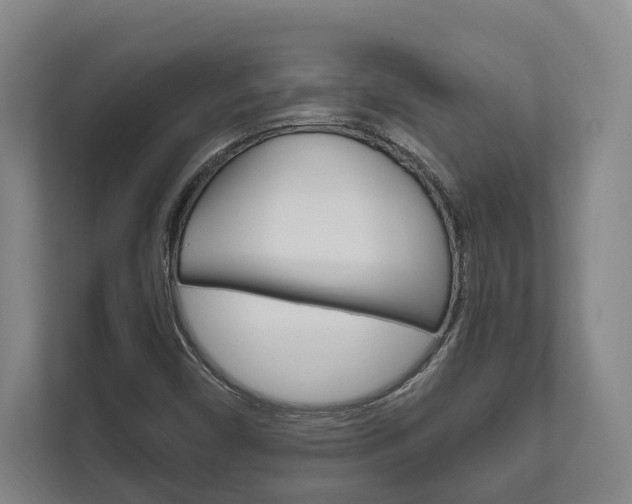 X0000111801450200907230945