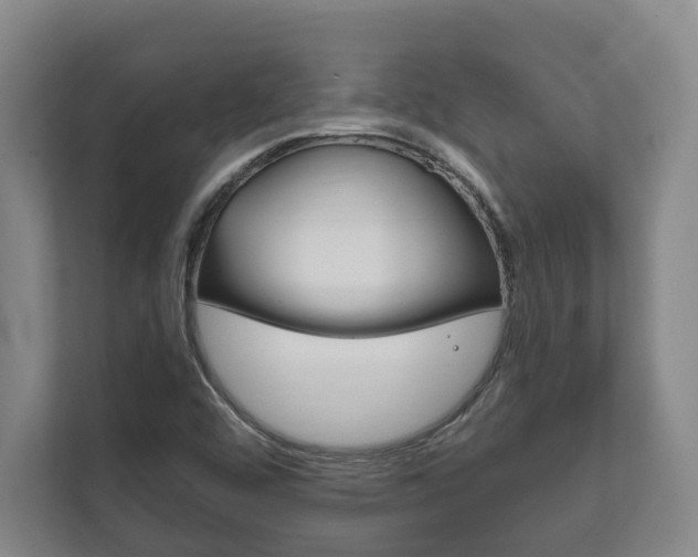 X0000111801456200907230945