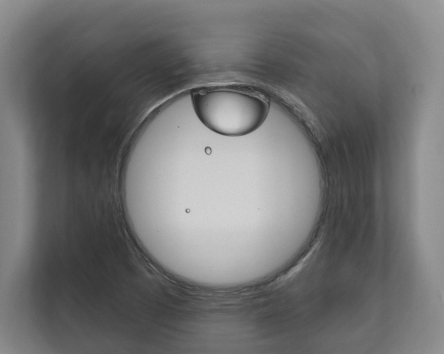 X0000111801457200907230945
