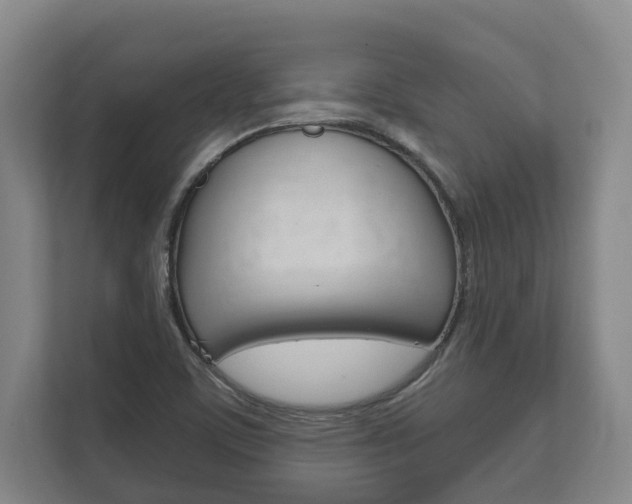 X0000111801459200907230945