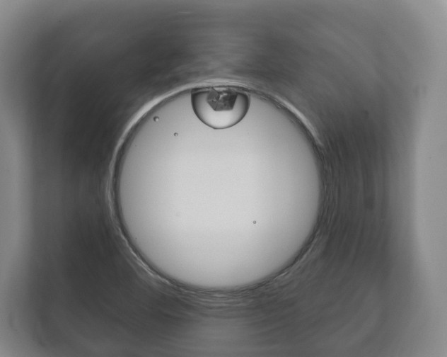 X0000111801460200907230945