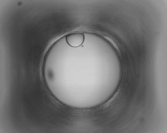X0000111801461200907230945