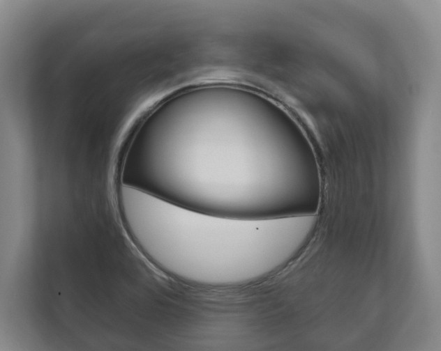 X0000111801464200907230945
