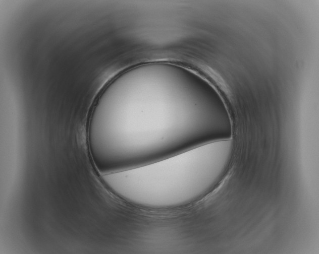 X0000111801465200907230945
