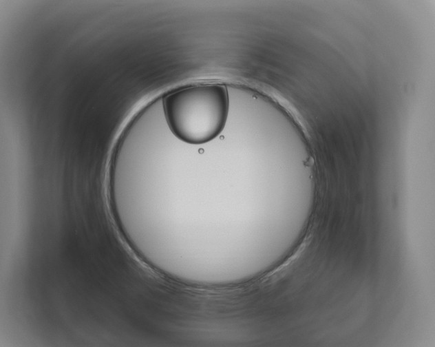 X0000111801469200907230945