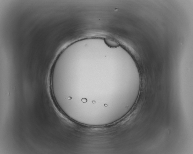 X0000111801471200907230945