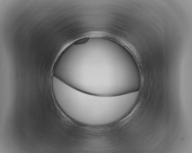 X0000111801473200907230945