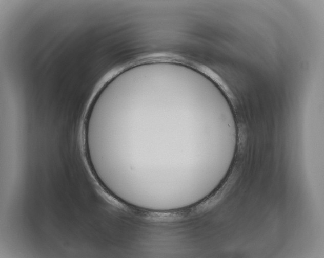 X0000111801474200907230945