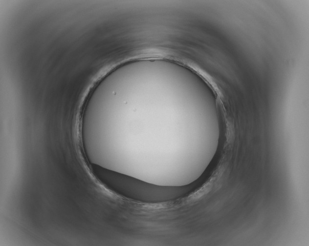 X0000111801477200907230945