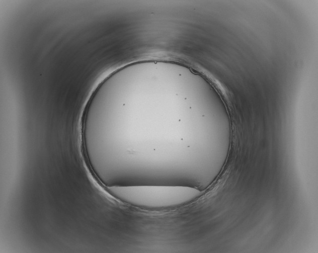 X0000111801479200907230945