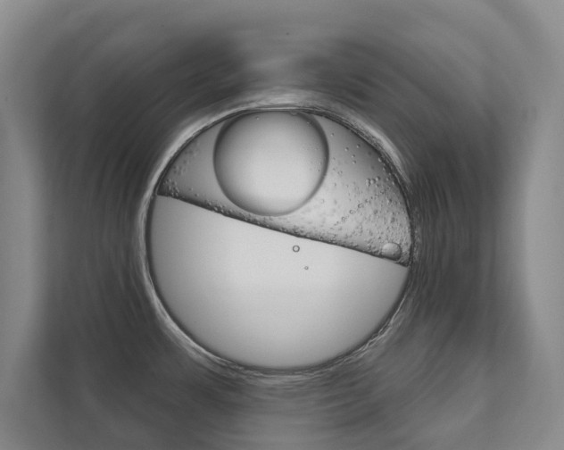 X0000111801483200907230945