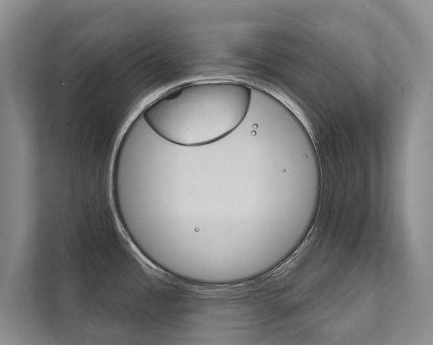 X0000111801485200907230945