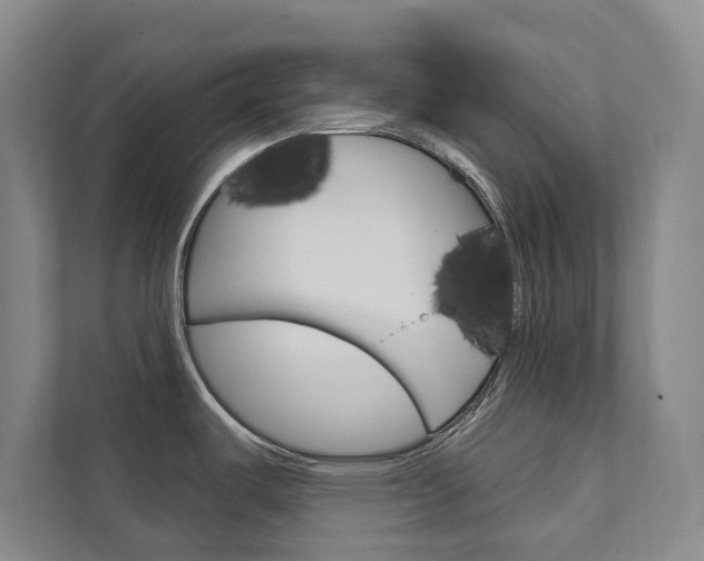 X0000111801487200907230945