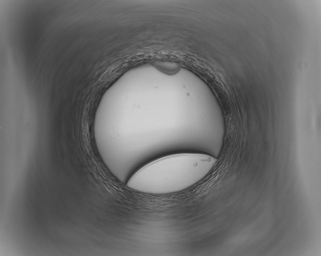 X0000111801489200907230944