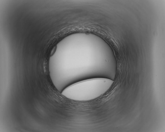 X0000111801490200907230944