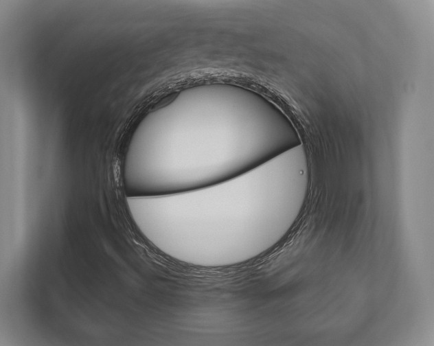 X0000111801492200907230944