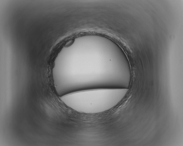 X0000111801494200907230944