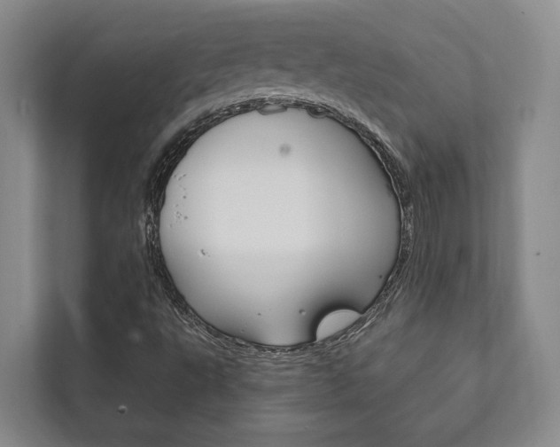 X0000111801495200907230944