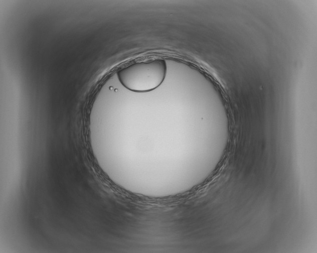 X0000111801496200907230944