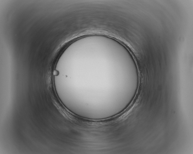 X0000111801499200907230944
