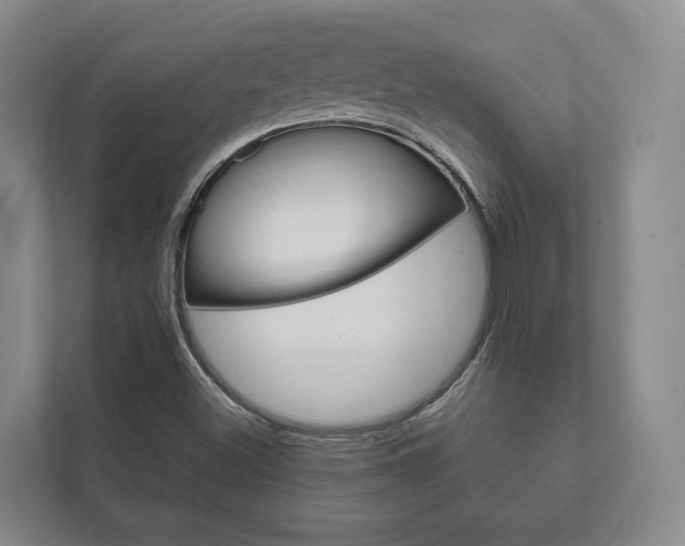 X0000111801500200907230944