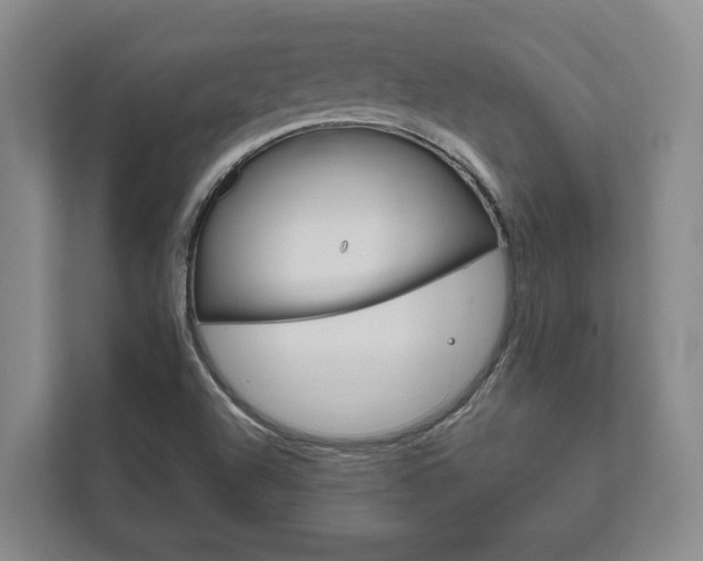 X0000111801504200907230944