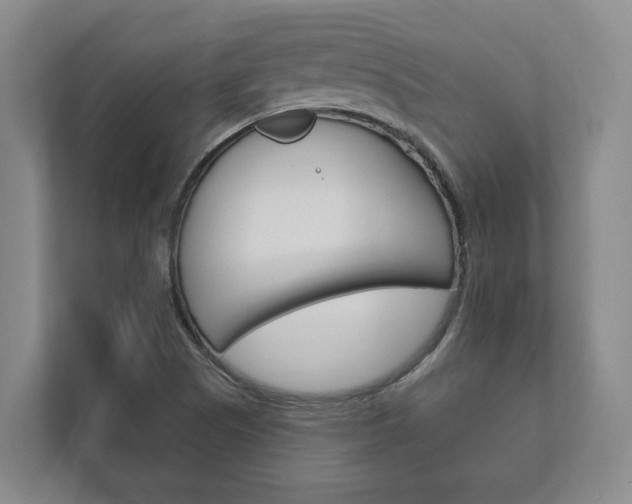 X0000111801505200907230944