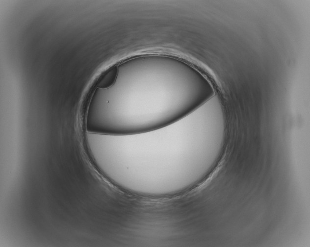 X0000111801506200907230944