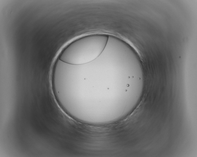 X0000111801508200907230944