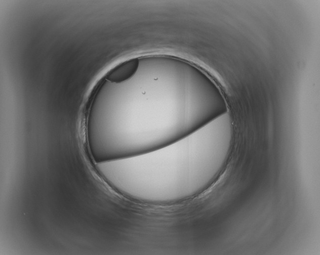 X0000111801510200907230944