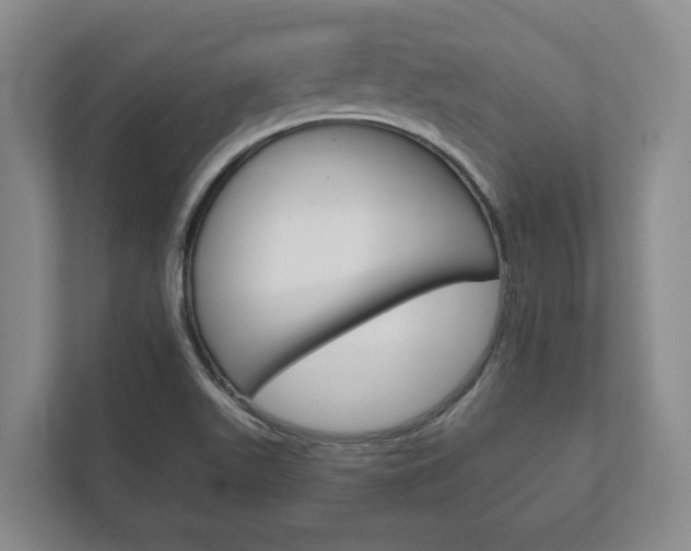 X0000111801511200907230944