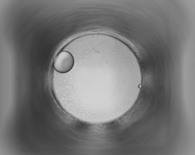 X0000111801514200907230944
