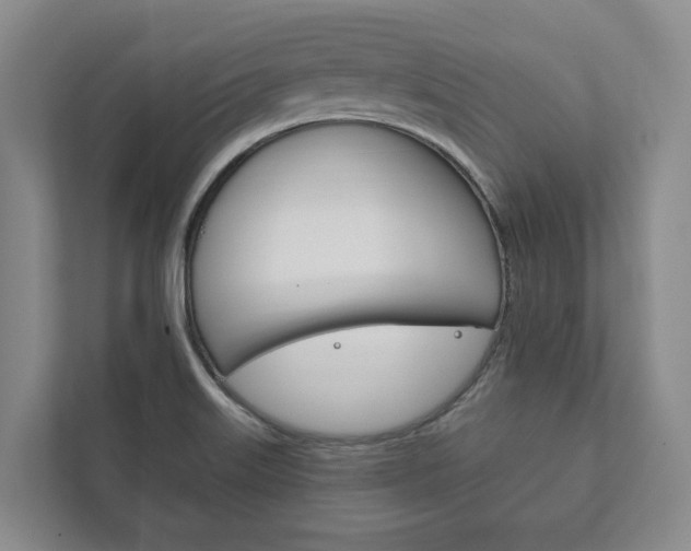 X0000111801515200907230944