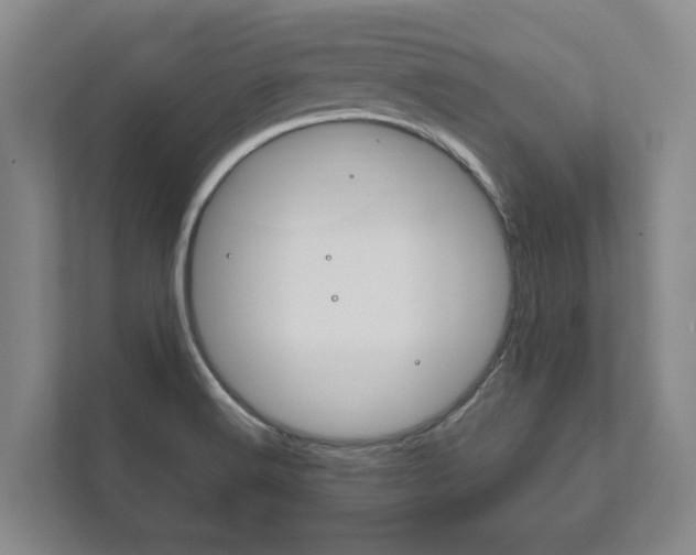 X0000111801516200907230944